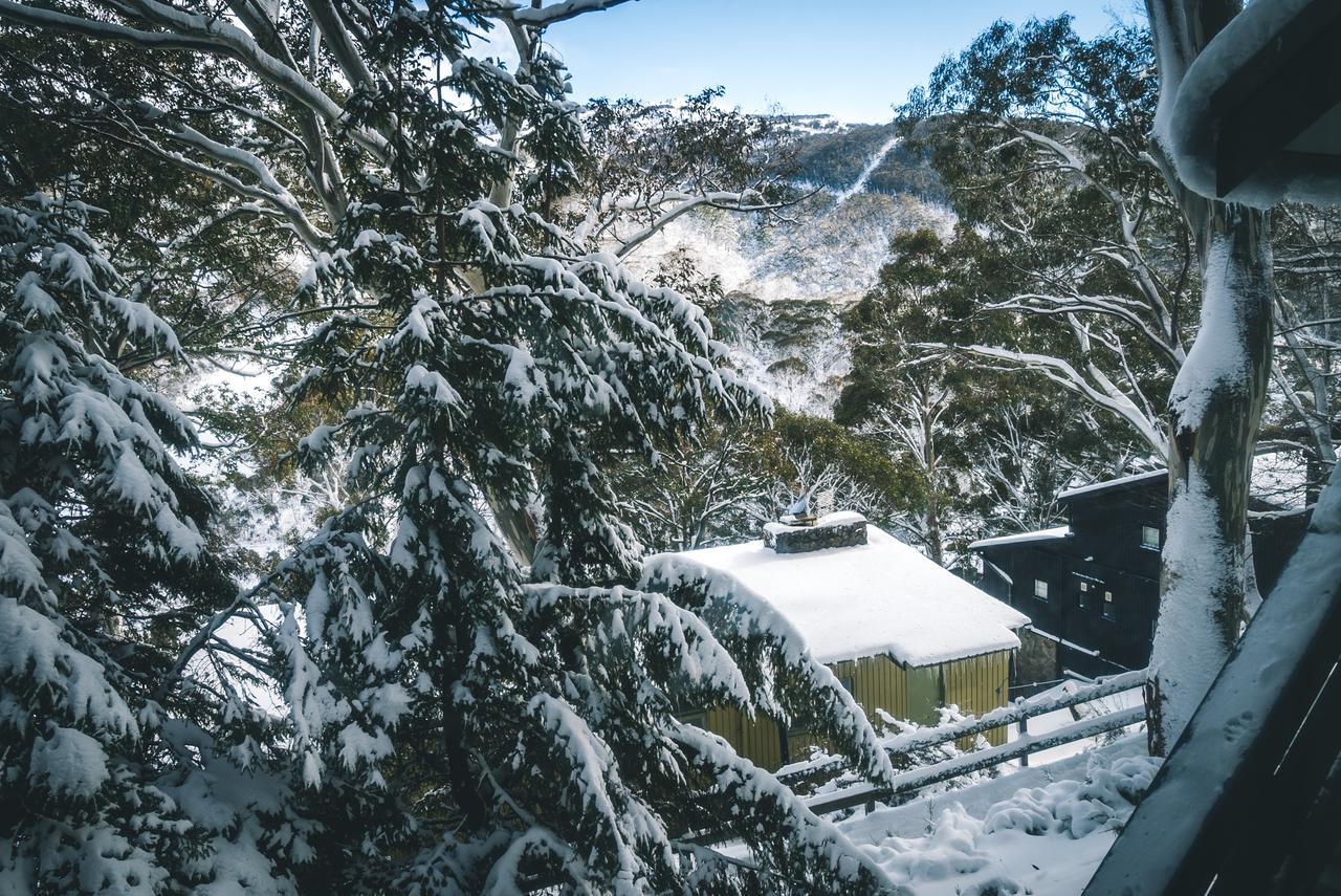Pure Chalet Thredbo Buitenkant foto