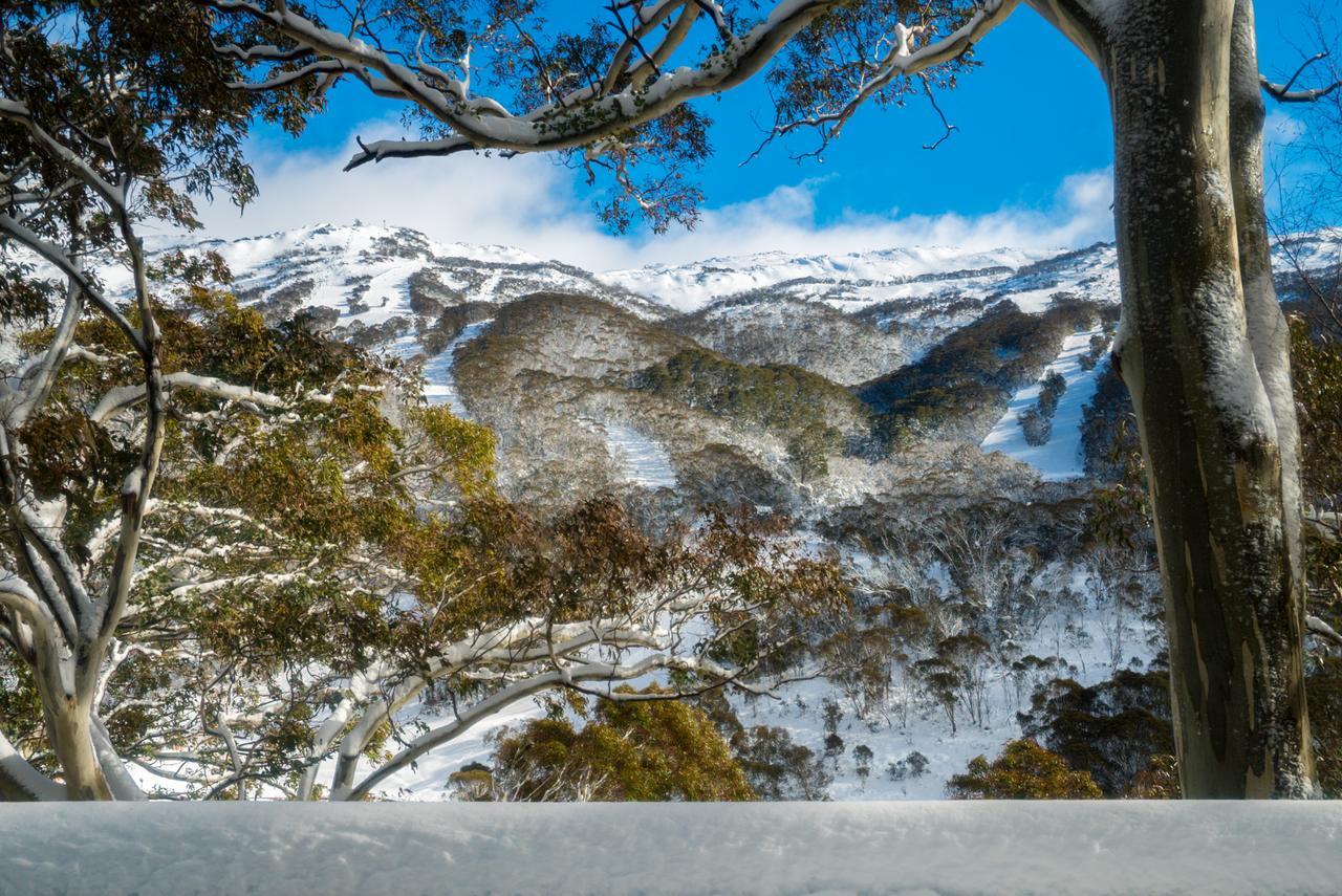 Pure Chalet Thredbo Buitenkant foto