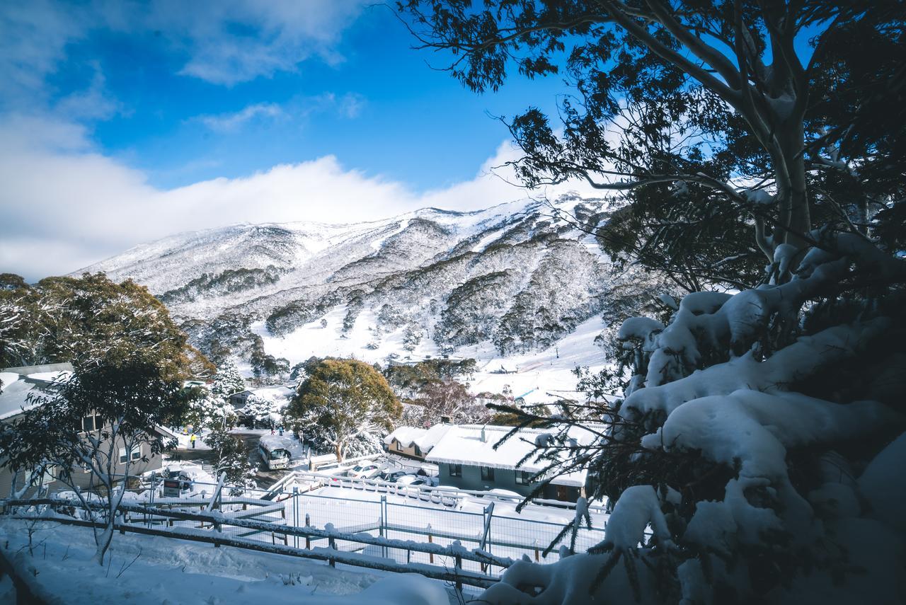 Pure Chalet Thredbo Buitenkant foto