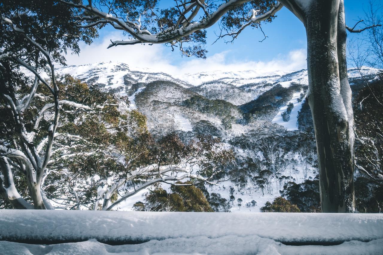 Pure Chalet Thredbo Buitenkant foto
